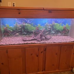 Aquarium 125 Gallon