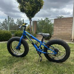 Child bike large 