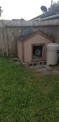 Dog house