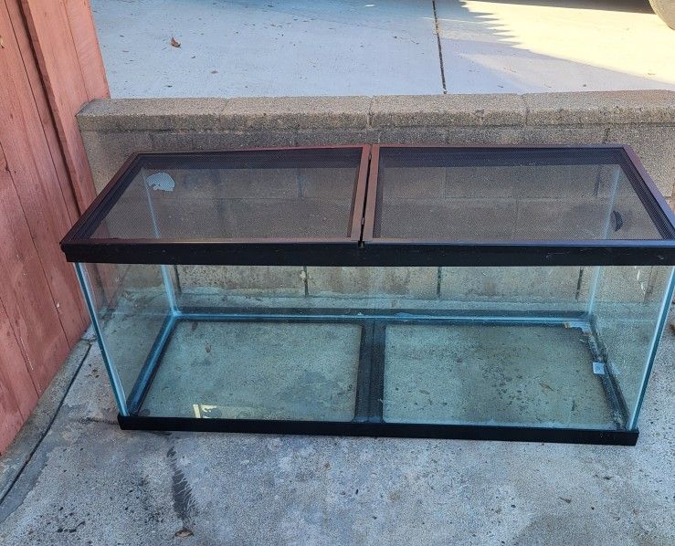 Terrarium For Reptile