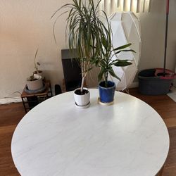 White Dining Room Table