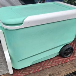 Igloo 38 Quart Cooler 