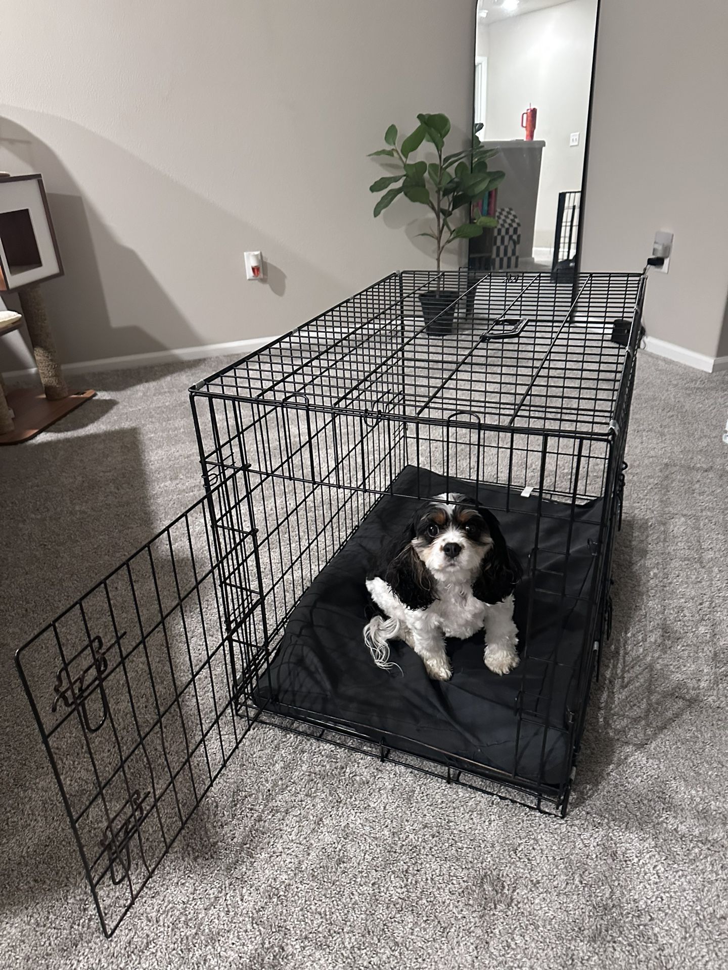 Medium Wire Dog Crate With Water Proof/washable Crate Pad