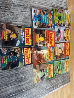 Would would win books