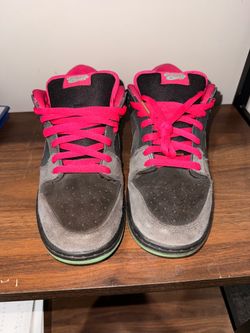 Premier Nike SB “Northern Lights” Size 11M