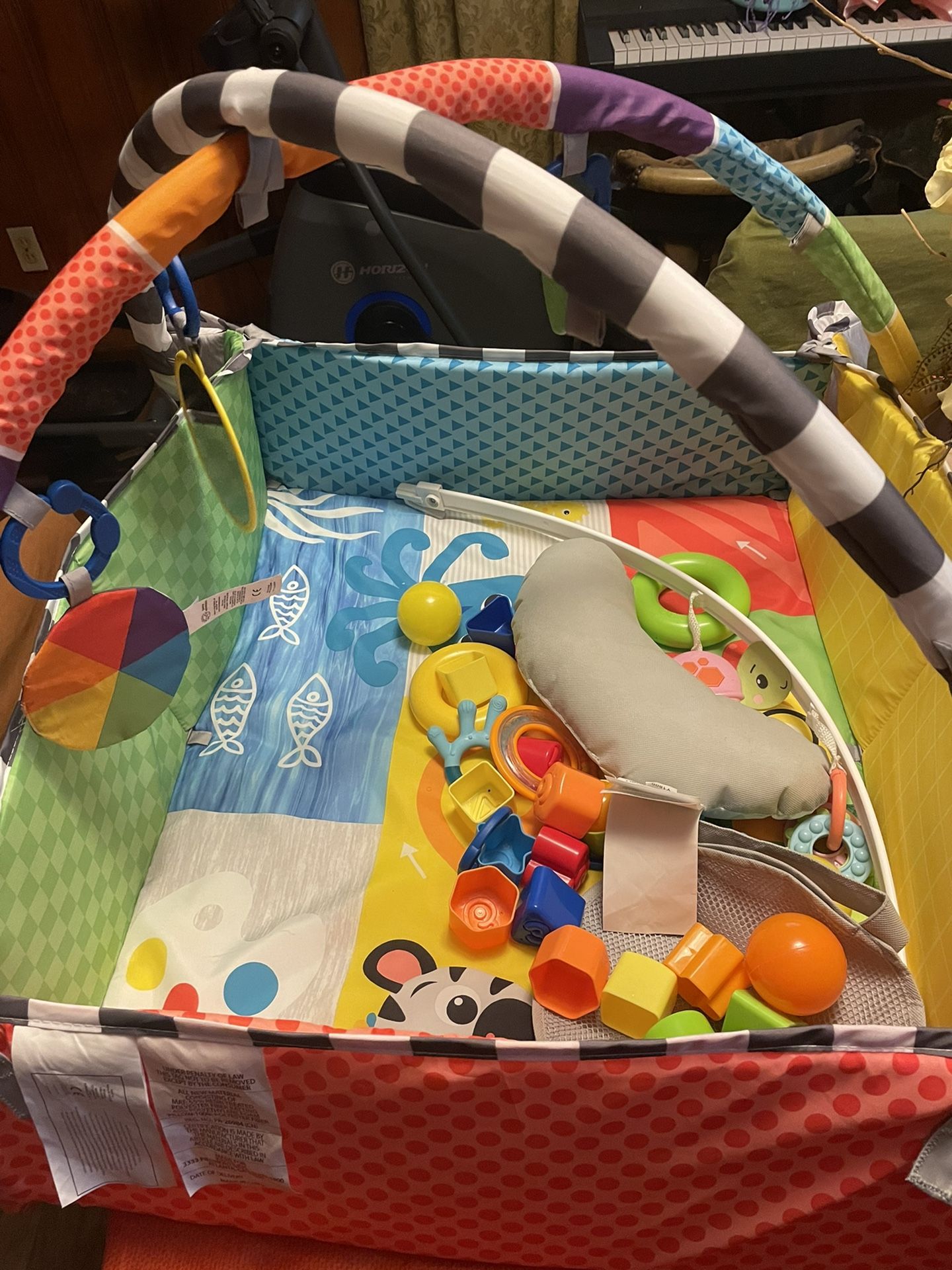 Activity Mat w/Accessories 