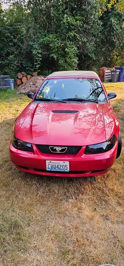 2000 Ford Mustang