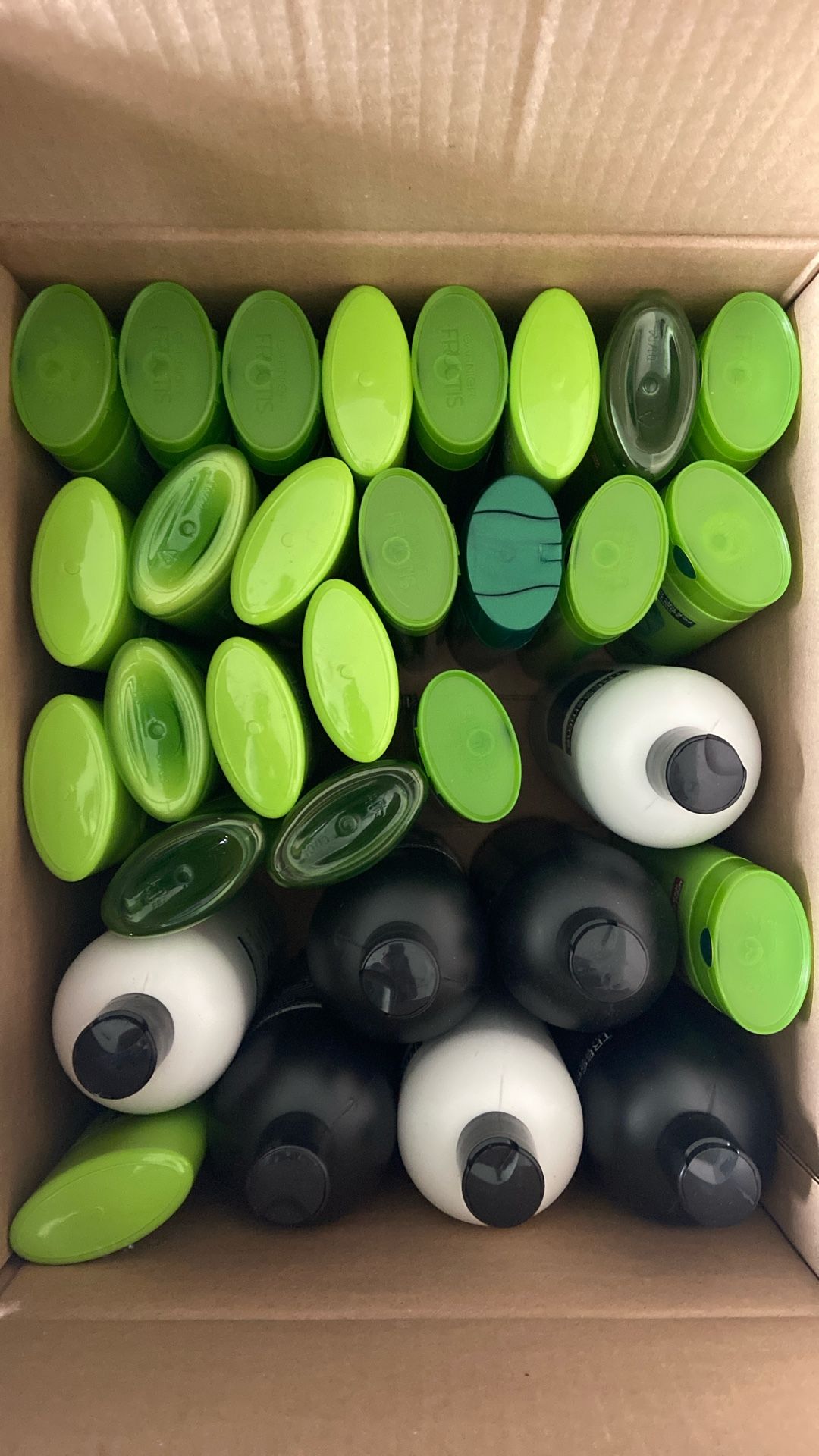 Loreal And Garnier And Dove Shampoo And Conditioner