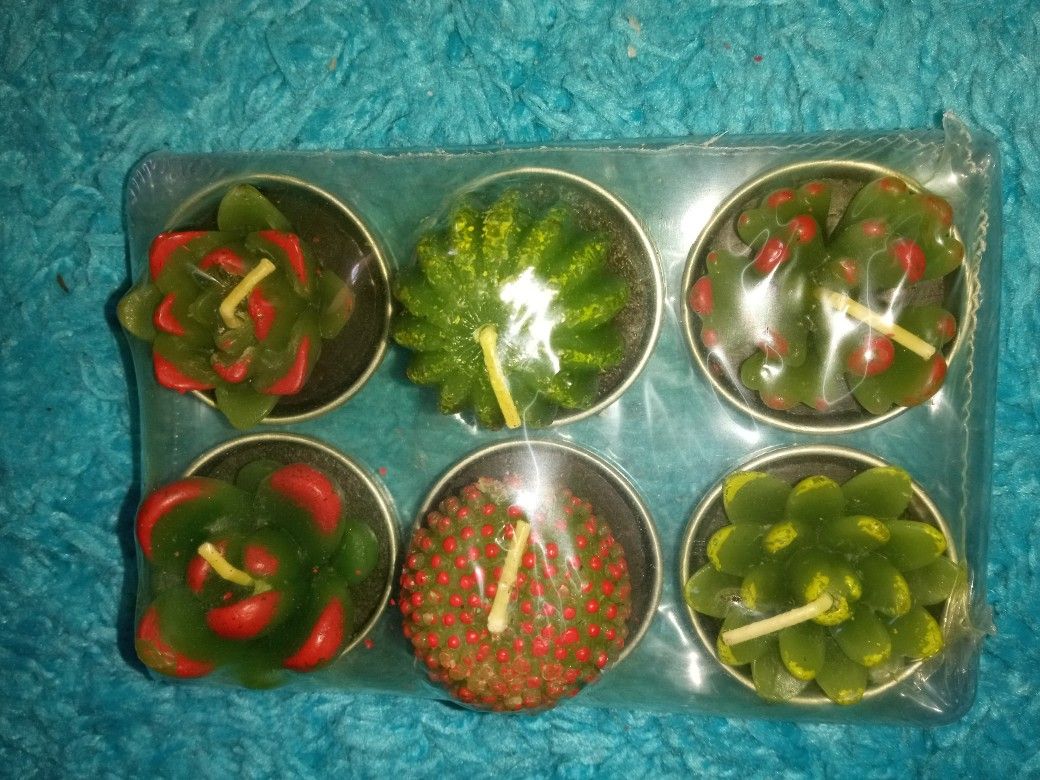 New Succulent Candles