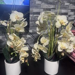 Faux Orchids
