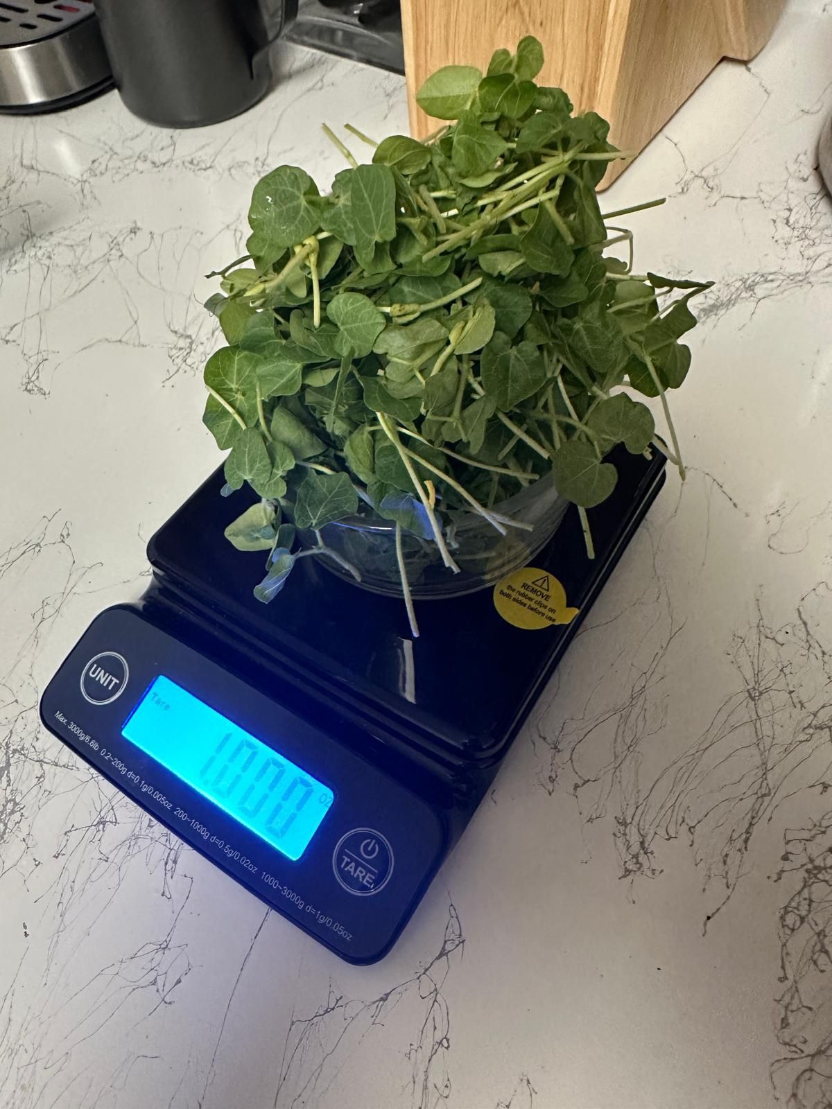 Horse Gram Micro Greens