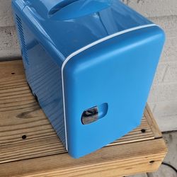 Make up mini fridge