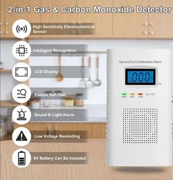 2 in 1 Carbon Monoxide and Gas Detector