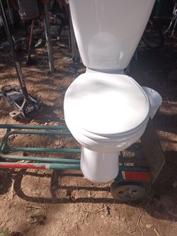 Delta toilet