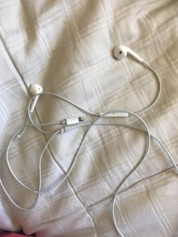 iPhone 7 &up ear buds