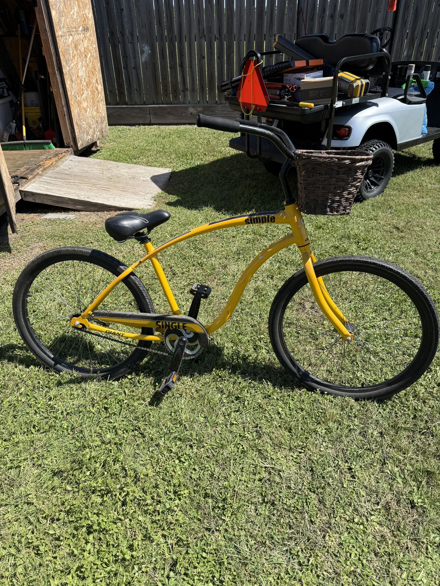Beach Cruiser Bike
