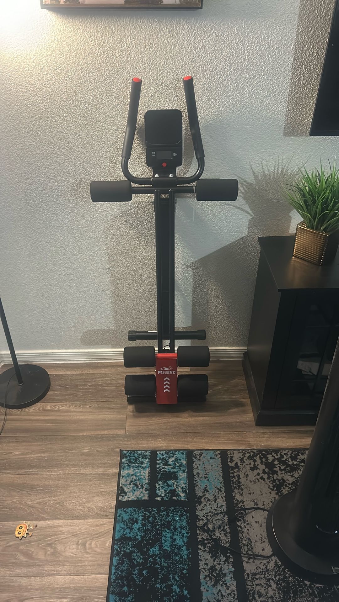 Fly bird Exercising Machine 