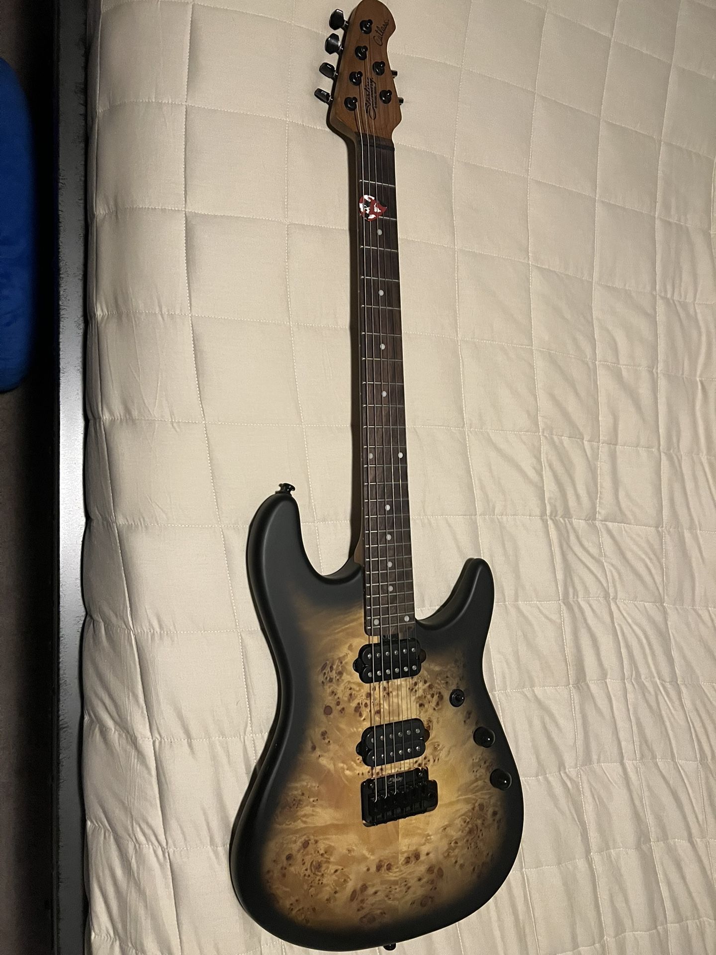 Sterling signature Series Electric Guitar (by Ernie Ball)