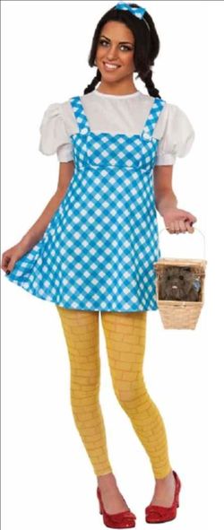 New Wizard of Oz Dorothy costume