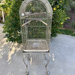 Silver Bird Cage