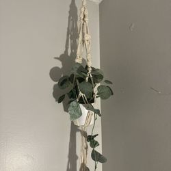 Small Fake Plant And Macrame Plant Holder 