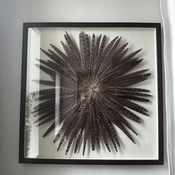 Large Feather Burst Framed Wall Art