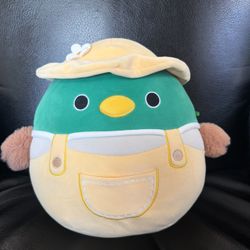 Cute Plush Toy Bird in Hat – Soft Squishy Pillow –  New