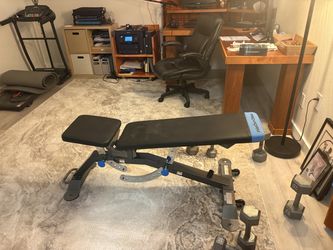 Pro-Form Carbon Strength Adjustable Weight Bench – $75