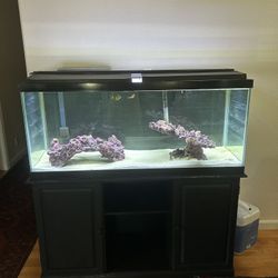 90 Gallon Tank With Stand And Filter Light 