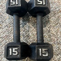 15 Lb Dumbbells Pair
