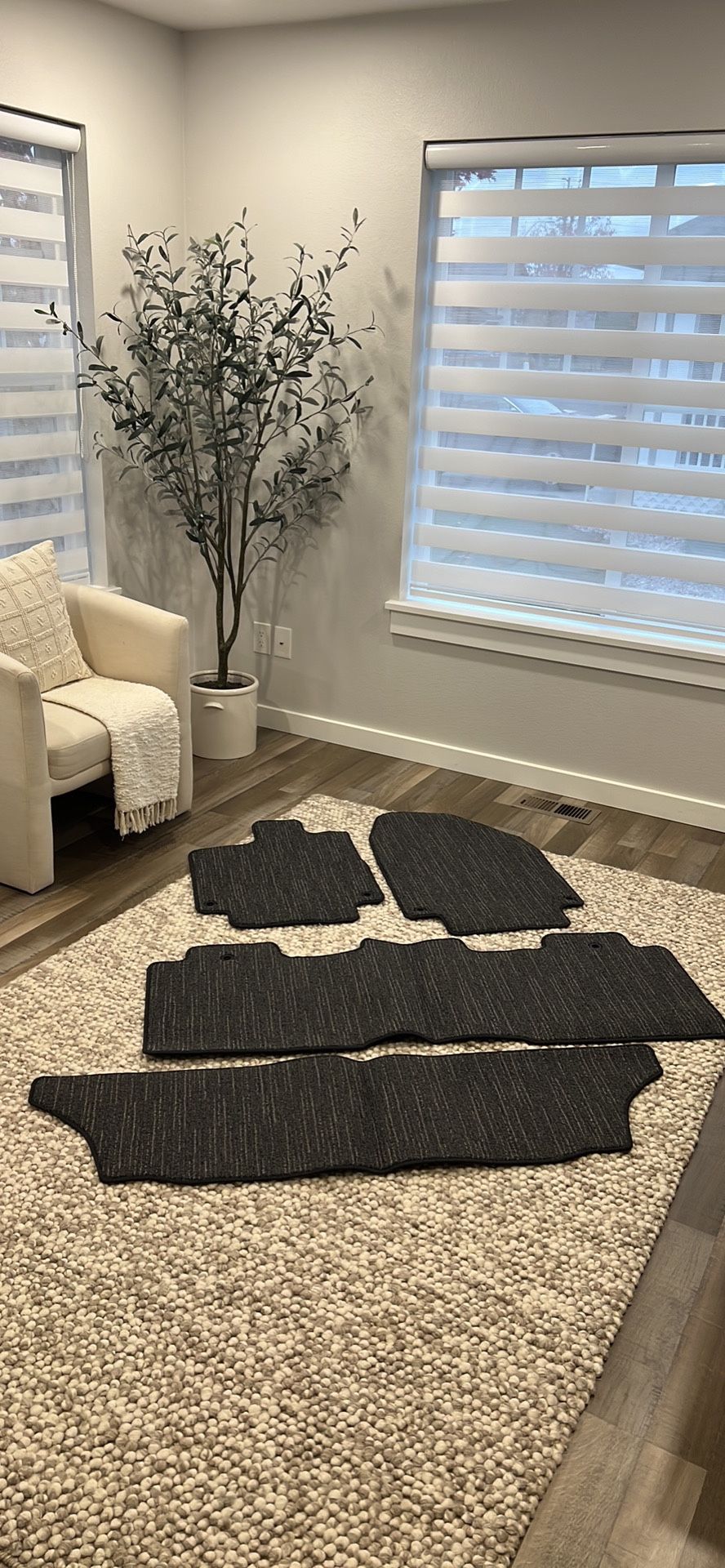 Honda Odyssey Floor Mat Set