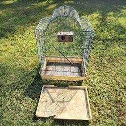 Bird Cage 