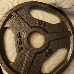 TSA 10lb Weight Plate