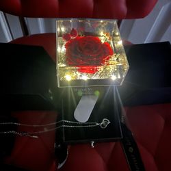 Eternally Preserved Rose Box W/ Engraved Heart Necklace