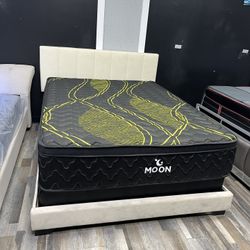 FREE DELIVER SAME DAY 