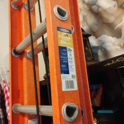 Werner 20ft Ladder