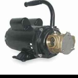 Dayton Impeller Pump