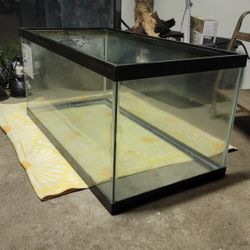 40 Gal Aquarium 