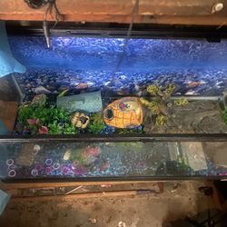 Fish Tank