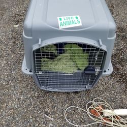 Airline approved pet carrier.