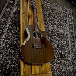 dangelico 12 string