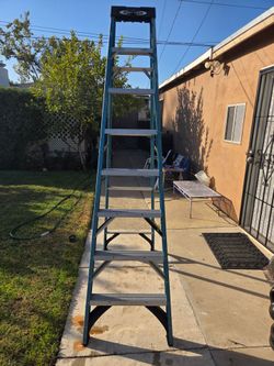 Werner step ladder