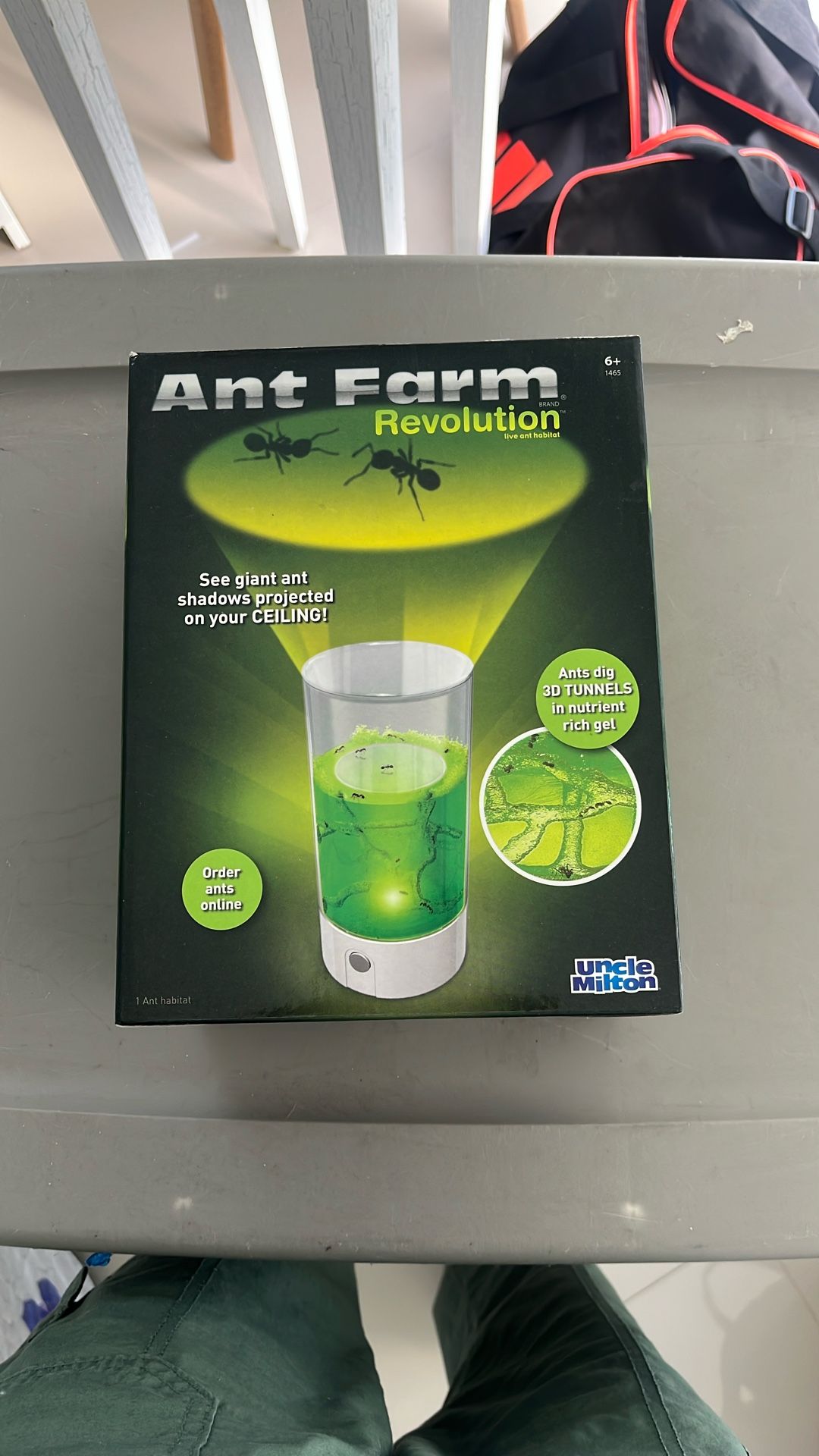 Ant Farm