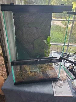 Tank For lizard 🦎 Or Reptile Plus Accessories