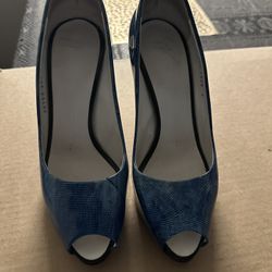 Blue Heels