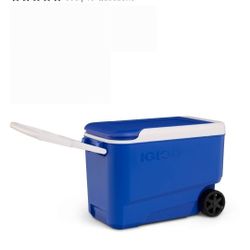 Igloo Cooler 38qt