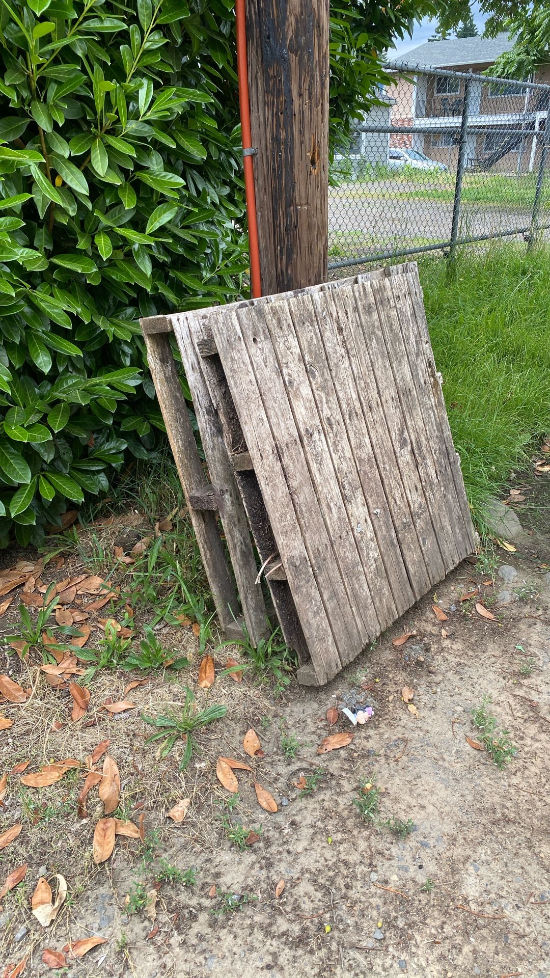 FREE Wood Palettes