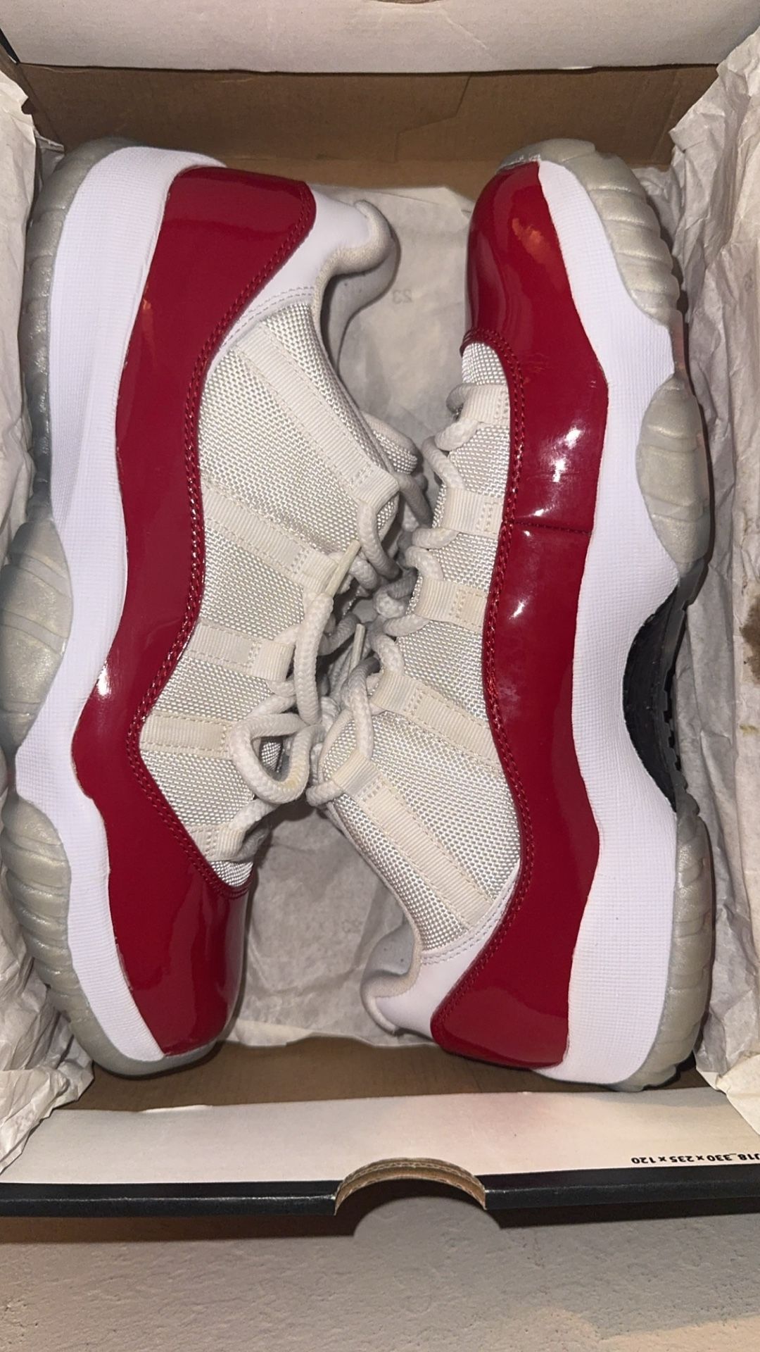 Jordan Retro Cherrys 11s