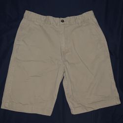 Beige Chino Shorts 🩳
