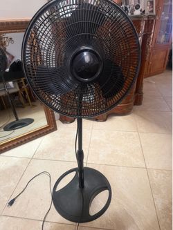 Fan